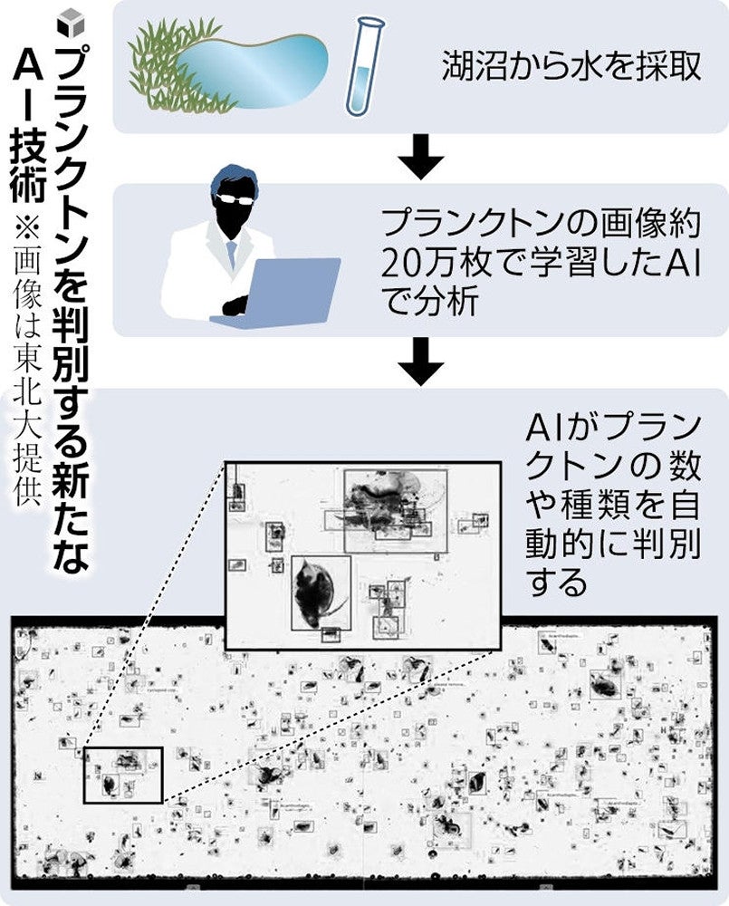 湖沼のプランクトン、種類や量をAIで自動判別へ…将来的に海への応用