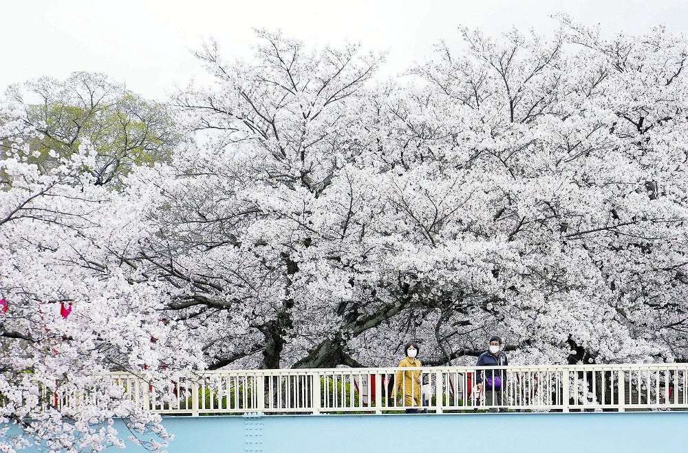 20220403-OYT1I50122-1.jpg?type=ogp