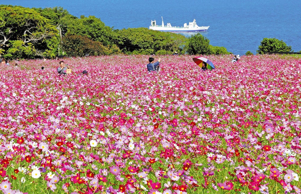 20231016-OYTNI50022-1.jpg?type=ogp