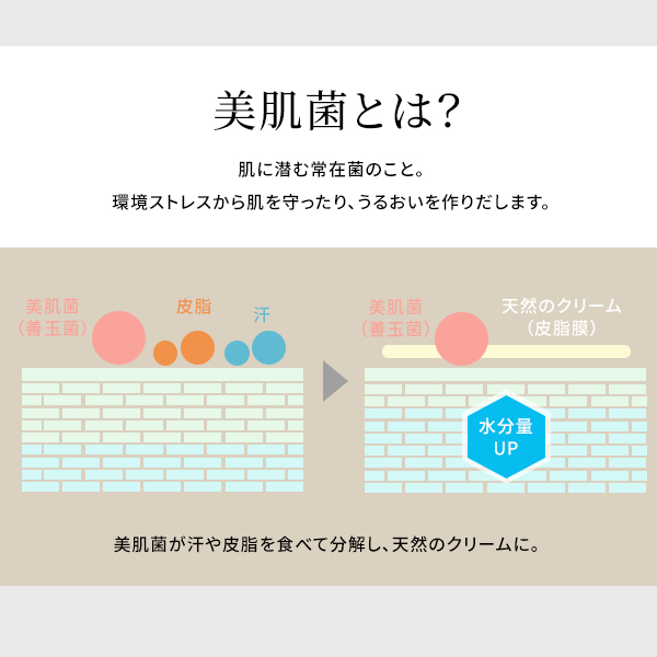 フォトスチーマー｜ヤーマン公式通販サイト | ヤーマンオンラインストア