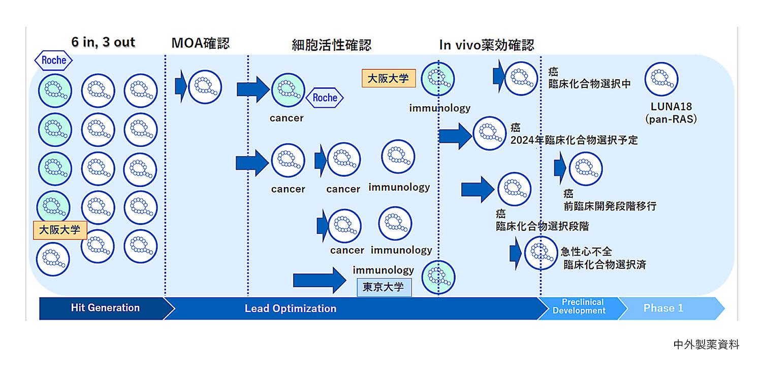 中外製薬】中分子薬、毎年前臨床入りへ‐癌、急性心不全、免疫に照準