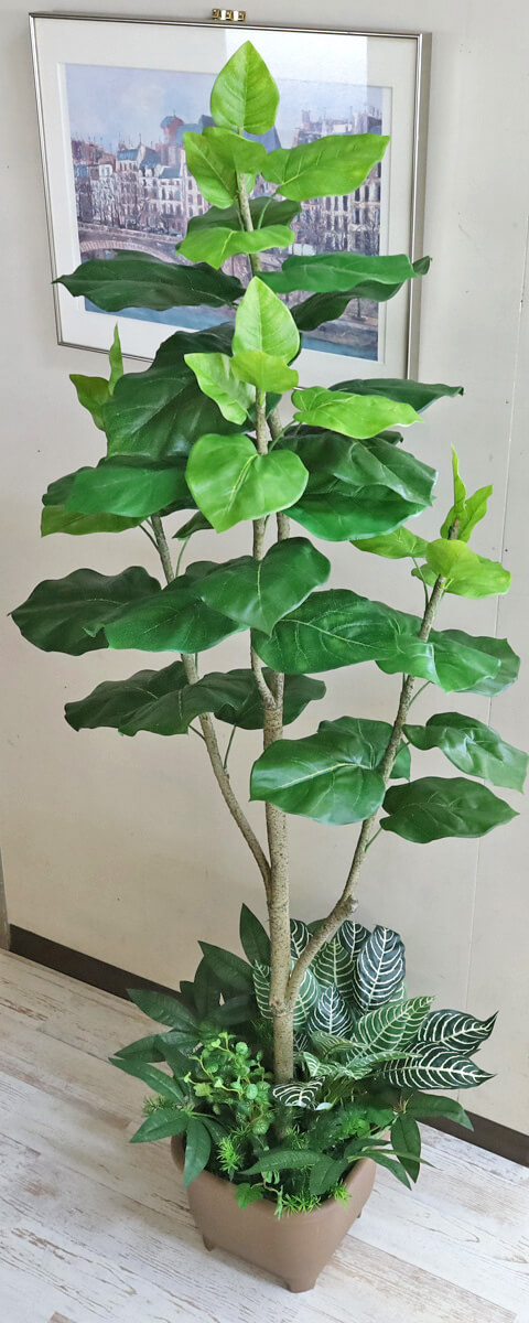 ウンベラータ 150cm フェイクグリーン 造花 観葉植物 CT触媒 snb