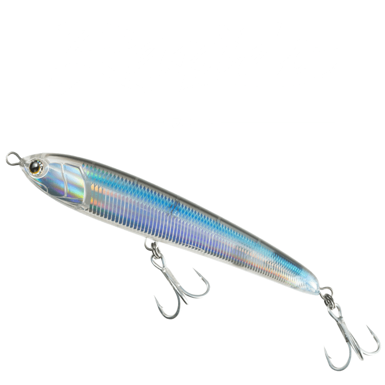 Maria マリア 紅影 ラピードF160 F230 35周年記念缶とタオル ラピード