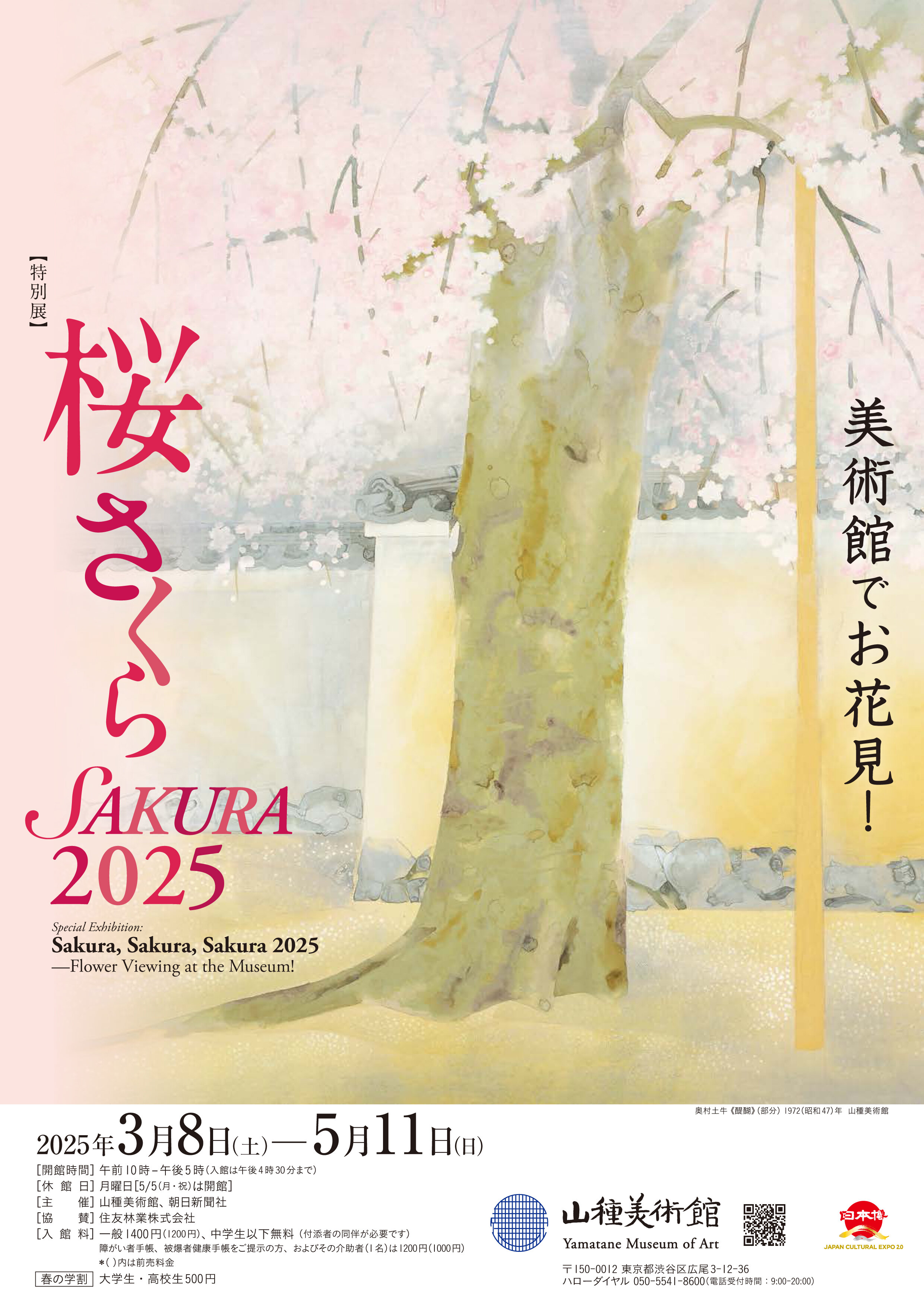 桜 さくら SAKURA 2025 | 山種美術館（Yamatane Museum of Art）
