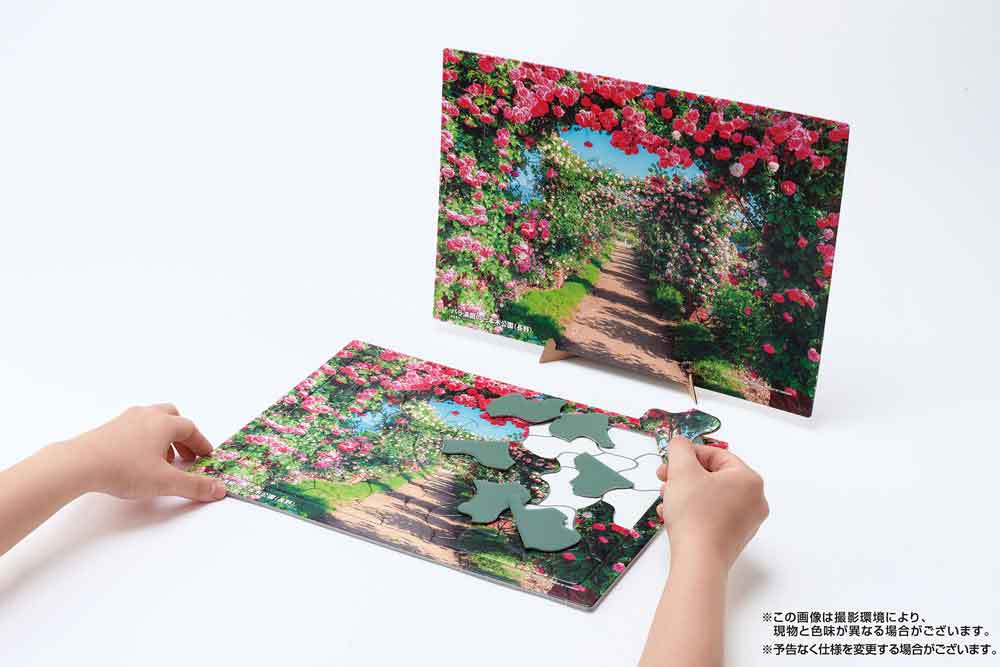 いきいきパズル バラ満開の一本木公園（長野）【通販限定