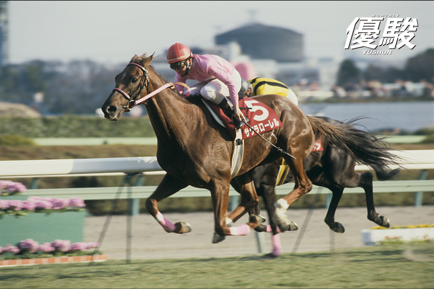 怪我とライバルに勝利した遅咲きの桜 | サクラローレル | 優駿 WEB