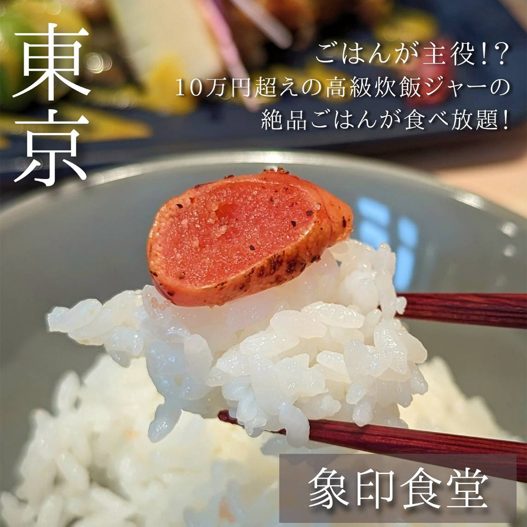 炎舞炊き｜圧力IH炊飯ジャー｜炊飯ジャー｜商品情報｜象印