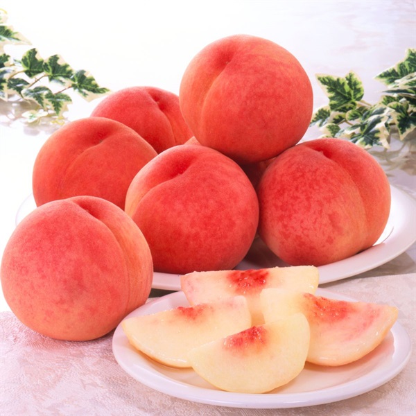 あかつき 7月下旬発送開始 | 全農食品オンラインショップ