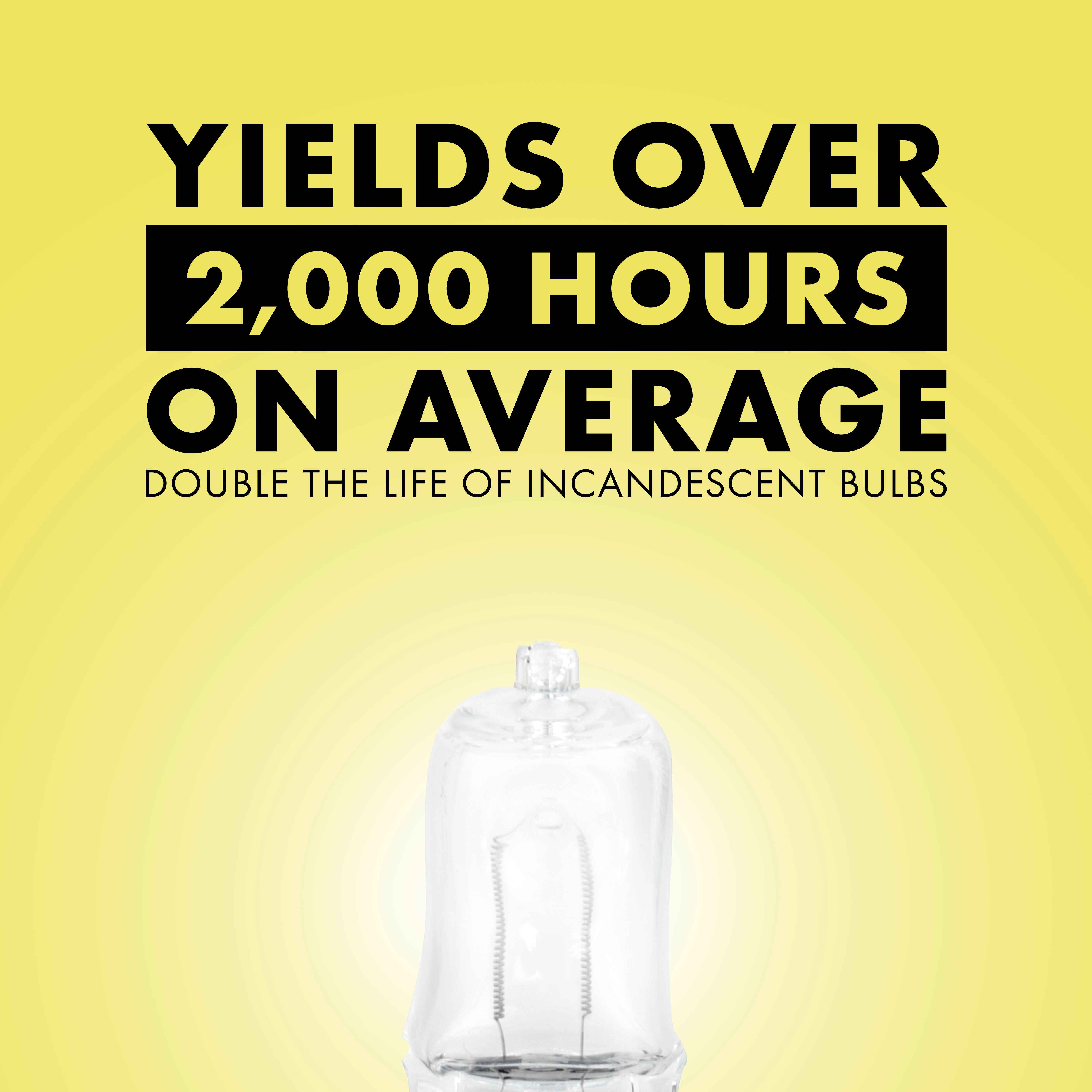 Mini Halogen Bulbs | Lighting & Heating | Zilla