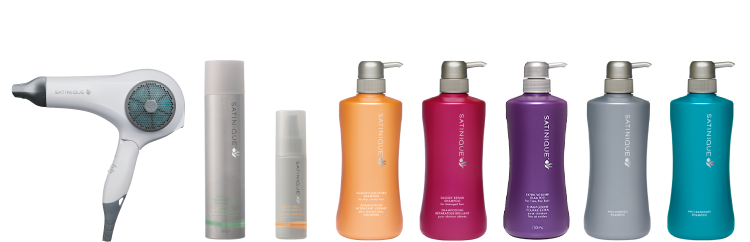 サテニーク バランス イオン ヘアドライヤー新発売：Amway(日本