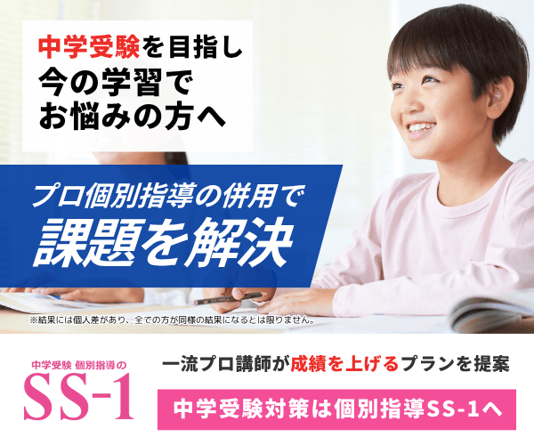 SAPIX 知識の総完成 理科 1〜19回 2025年受験 SAPIX 知識の総完成 理科