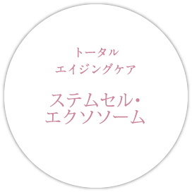 商品のご案内 XLUXES チェリーブロッサム オールインワンジェル―X-two