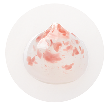 XLUXES チェリーブロッサム オールインワンジェル | XLUXES ヒト幹細胞