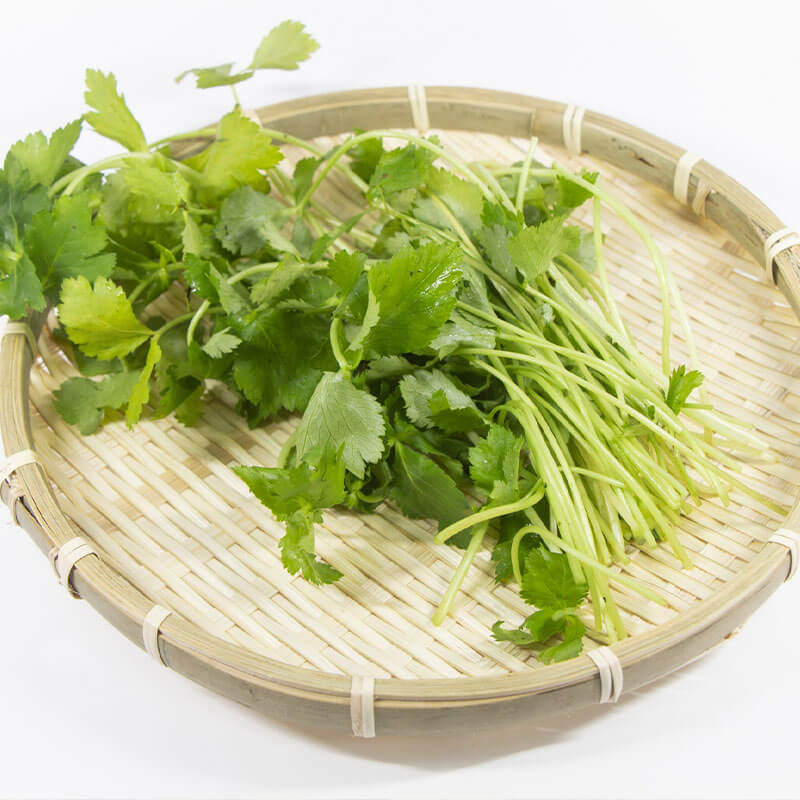 みつばの栄養素が知りたい！選び方やおすすめのレシピも紹介