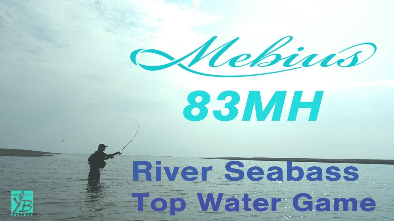 Mebius 83MH | YAMAGA BlanksYAMAGA Blanks