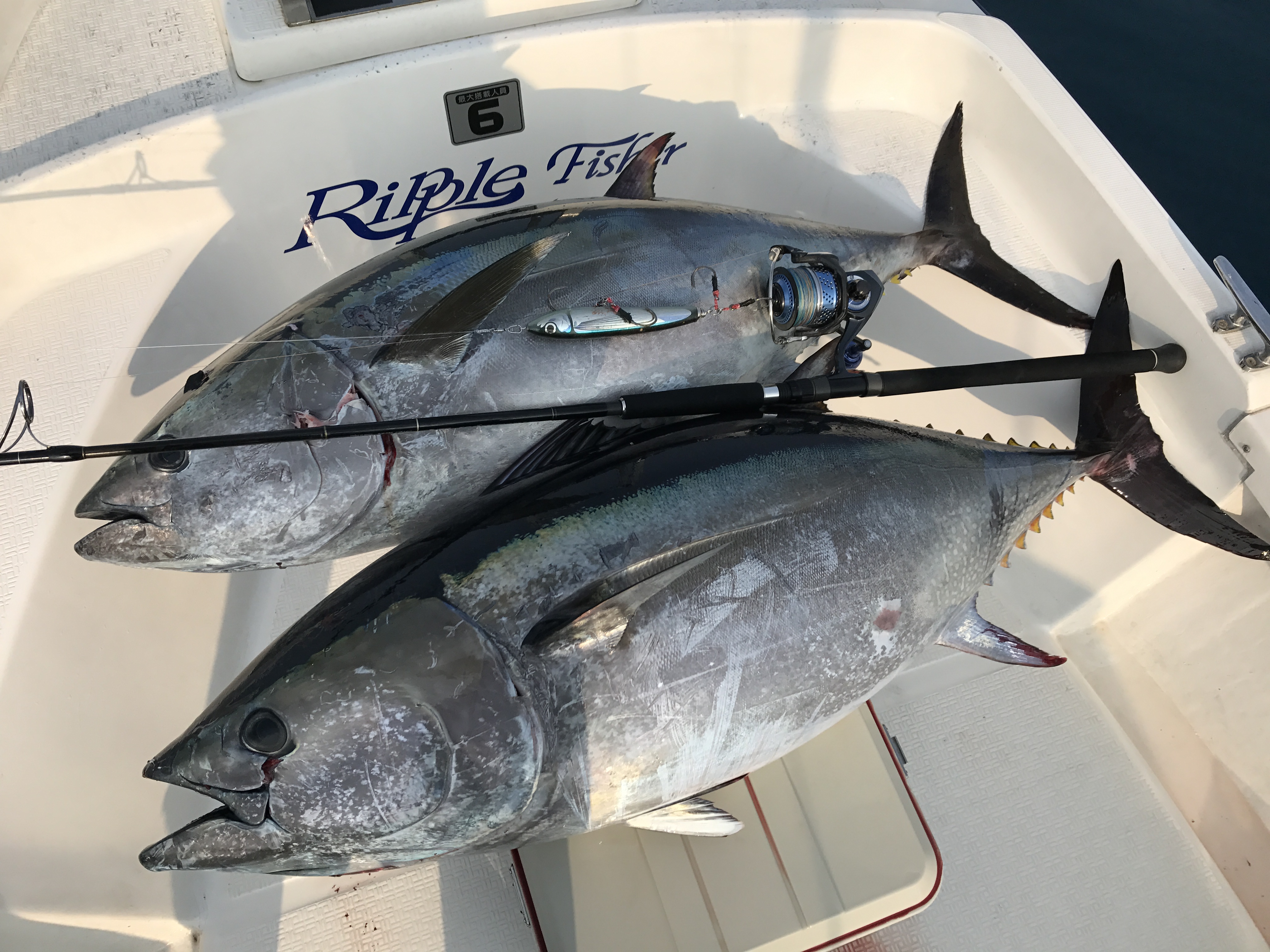 BlueSniper 82/4 釣果レポート | YAMAGA BlanksYAMAGA Blanks