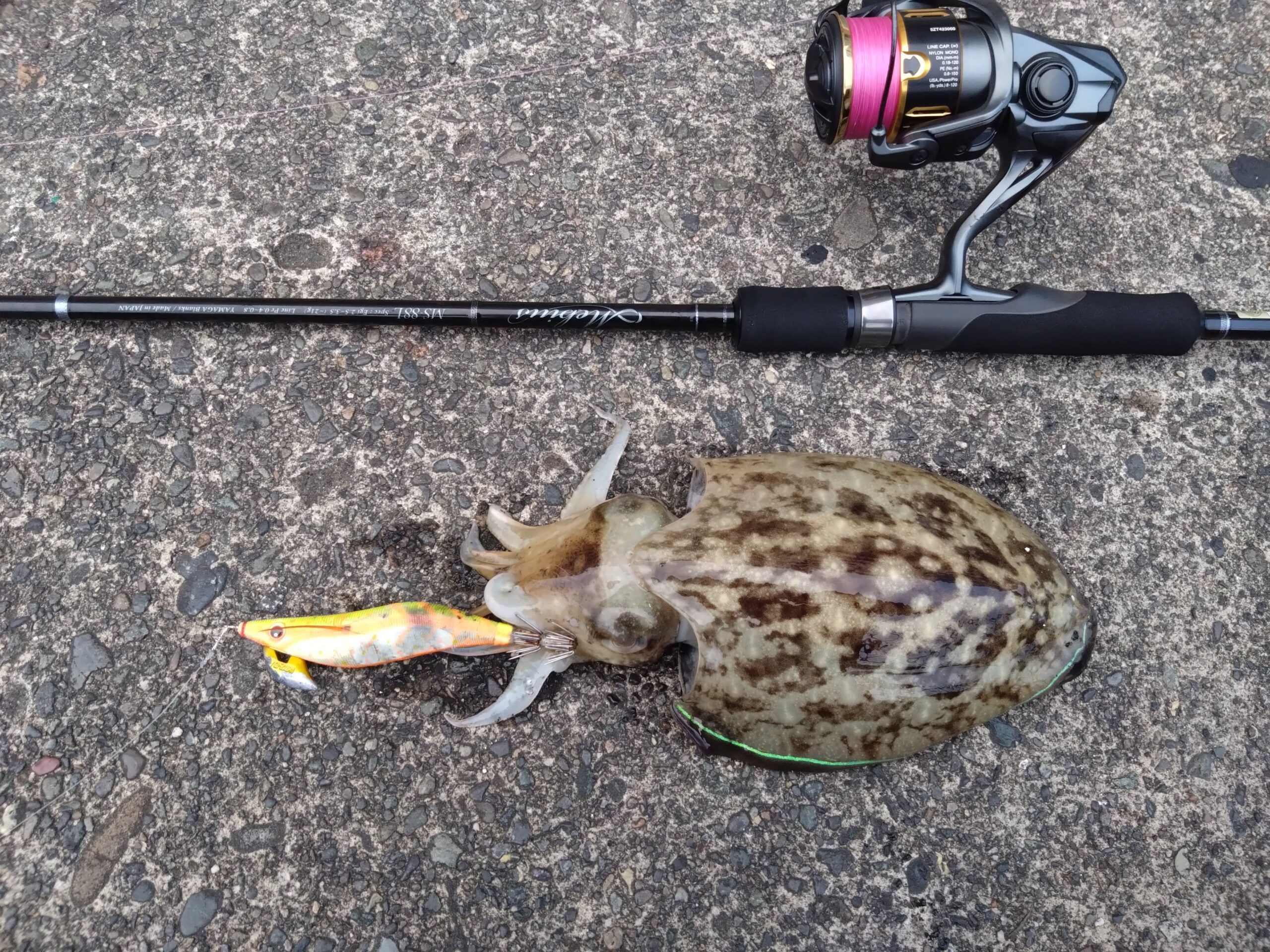 神奈川県】エギング Mebius 88L | YAMAGA BlanksYAMAGA Blanks