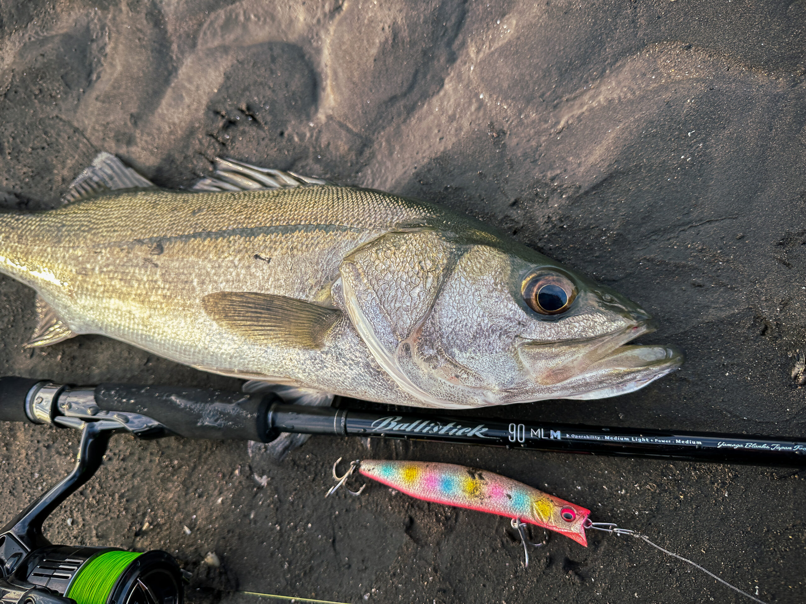 バリスティックシリーズの「進化」と「深化」【2025 新製品解説