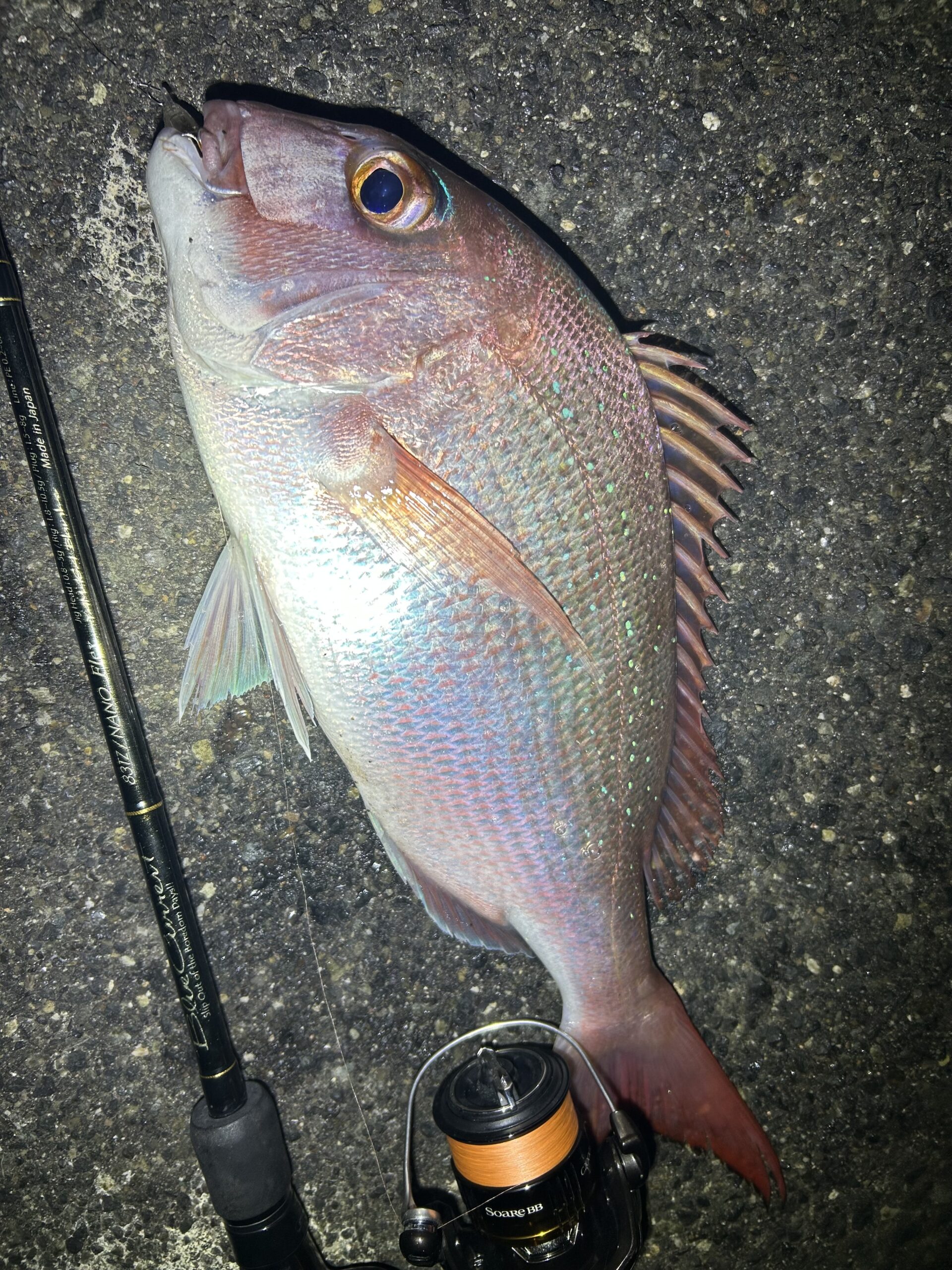 瀬戸内】真鯛 BlueCurrent 83/TZ NANO Flex | YAMAGA BlanksYAMAGA Blanks