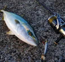 Calista TZ/NANO | YAMAGA BlanksYAMAGA Blanks