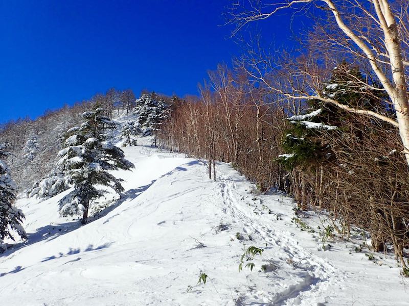 積雪期の恵那山 展望いいよ！スノーモンスターも | 雑多なこけ かば