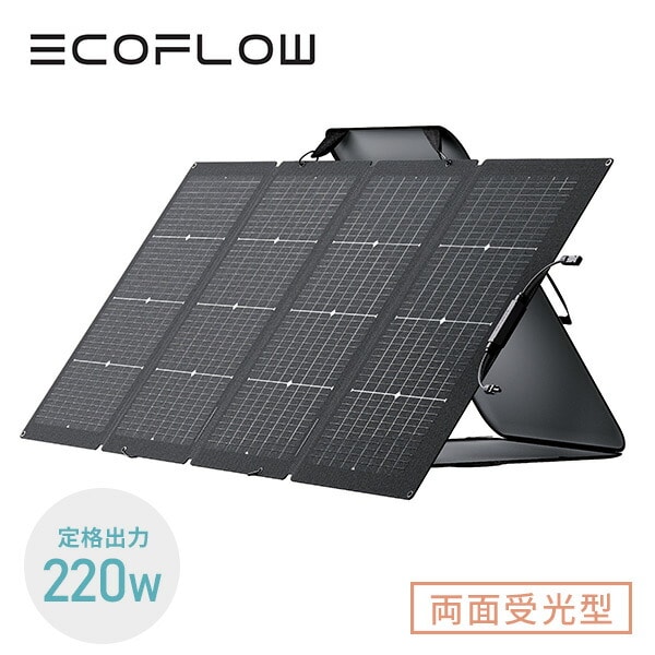 220W両面受光型ソーラーパネル 両面受光発電 収納バッグ付き EcoFlow