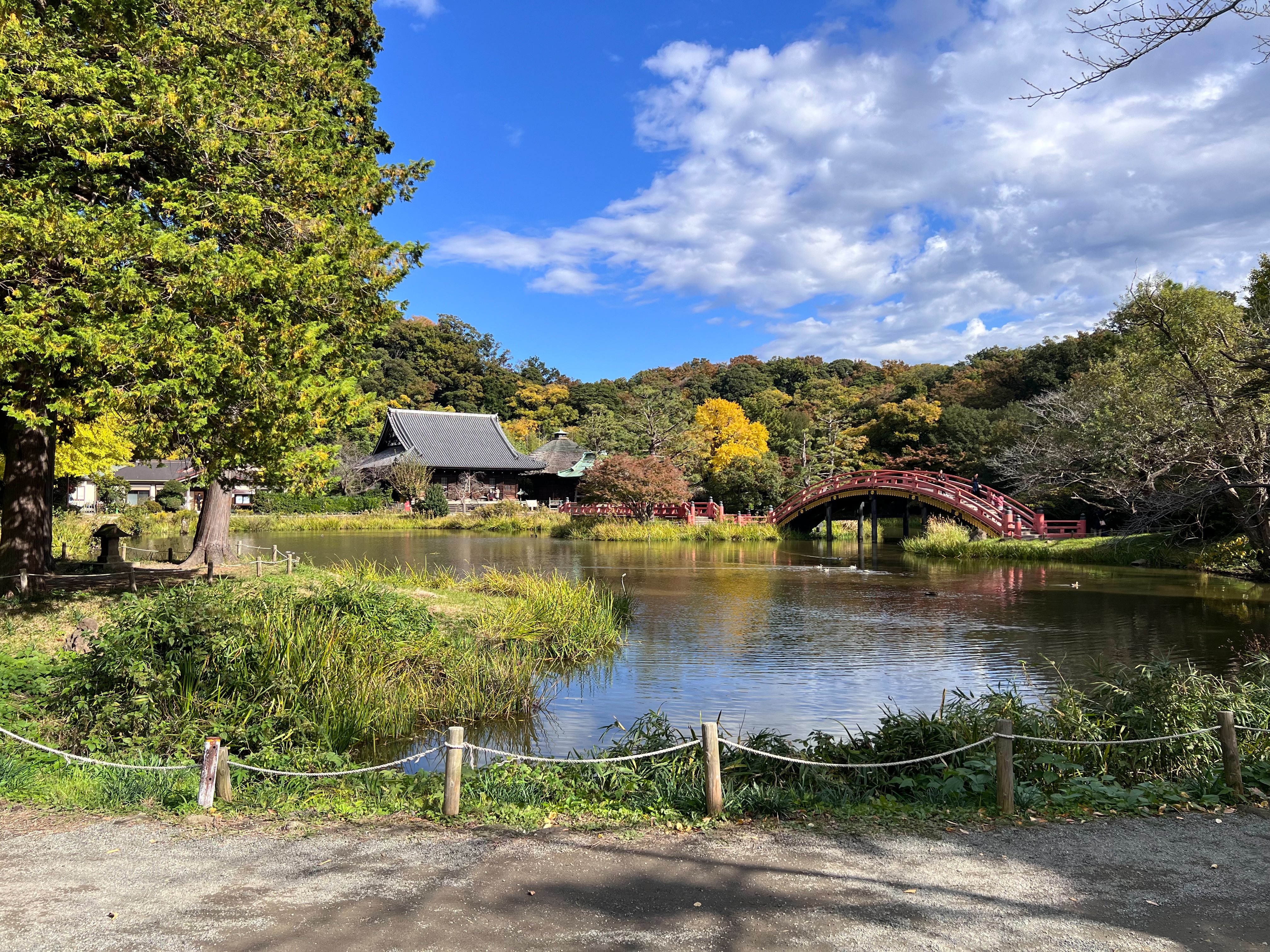 紅葉と秋の風をあつめて】横浜金沢・称名寺スケッチ会！ | 鎌倉水彩画塾