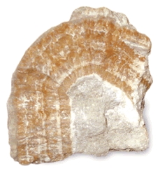 玉川産北投石の秘密 | 新潟 名湯 安田温泉やすらぎ 日帰り温泉/宿泊