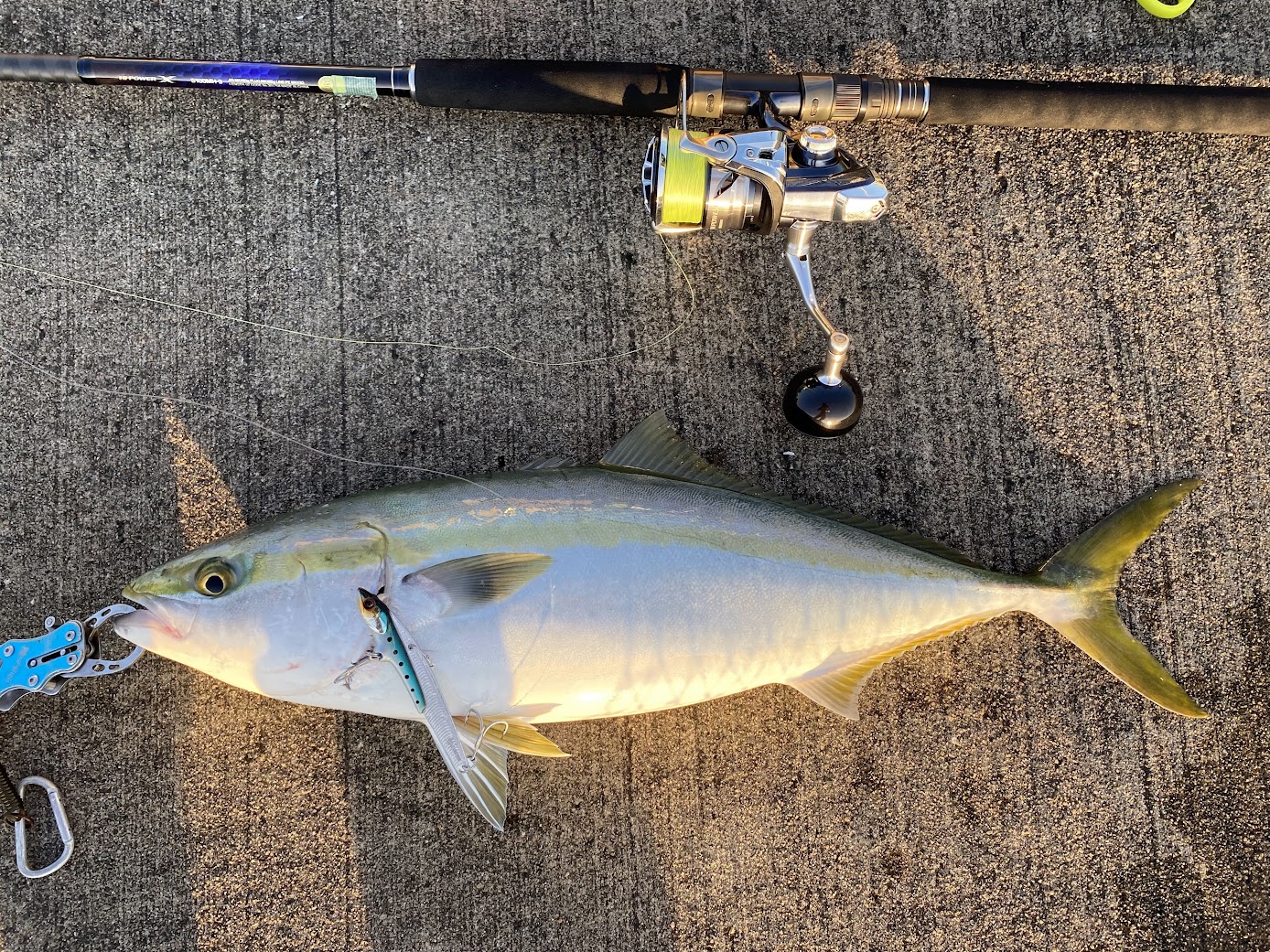 実釣インプレ】携帯性抜群のスリーピースショアジギングロッド『21