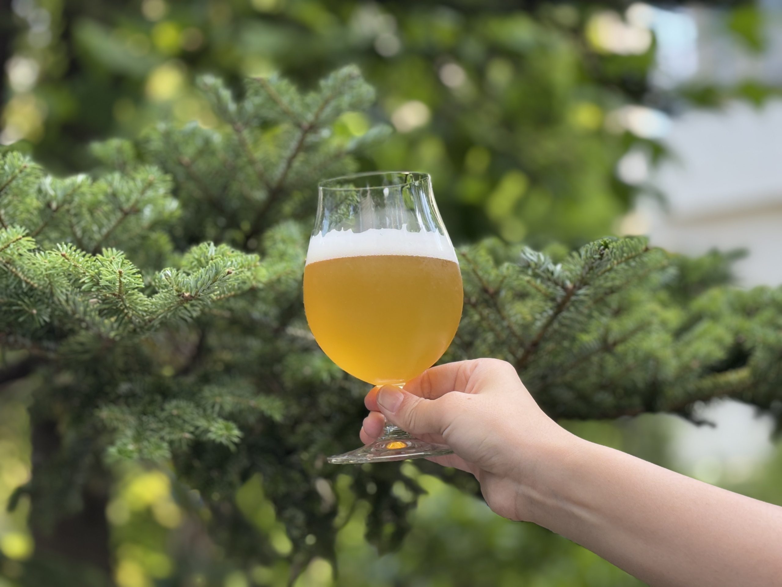 新製品 | 株式会社ヤッホーブルーイング コーポレートサイト