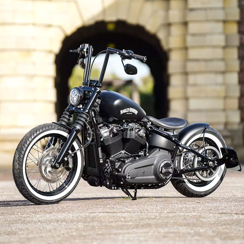 サンダーバイク□ ダービーカバー トルク ロゴあり (バイカラー) 【19