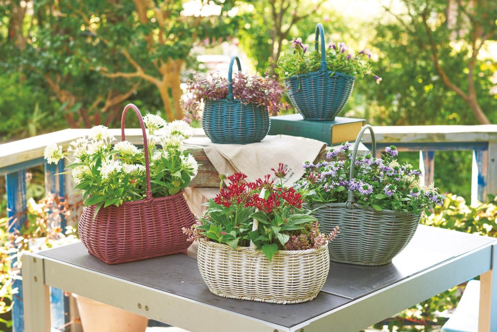 2025 Autumn＆Winter | 株式会社 友膳