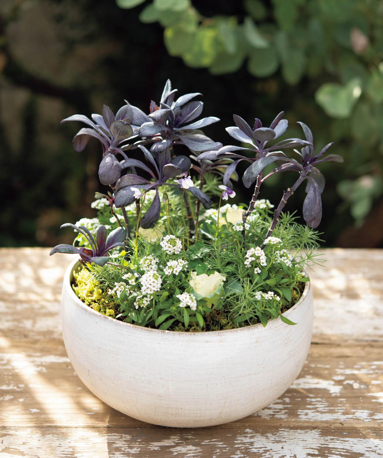 ナチュラルな印象の【晩秋の寄せ植え】野原に咲く花の風景を小さな器の