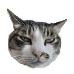 サイエンスの目で見る ハーブウォーターの世界 | ユイビ書房