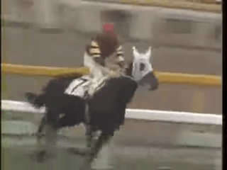 中島国治氏関連馬 | 雪の家雑記帳