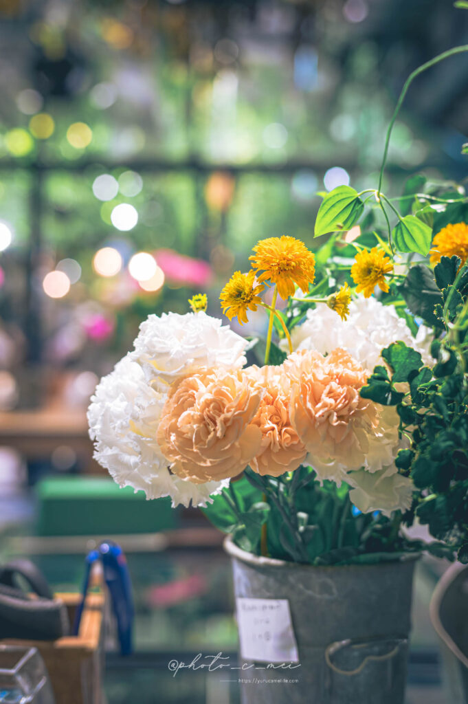 NIKKOR Z 40mm F2が想定外のお気に入りレンズになった件 | ゆるカメライフ