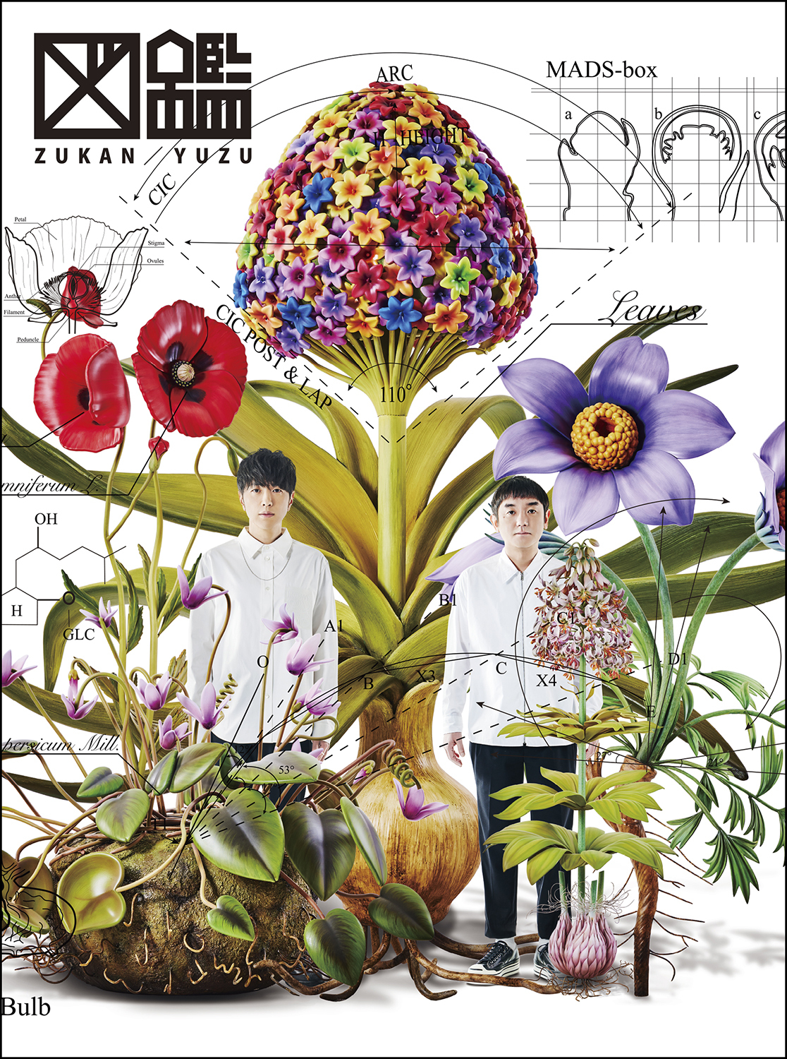 図鑑 Visual Art Box | DISCOGRAPHY | ゆずオフィシャルサイト