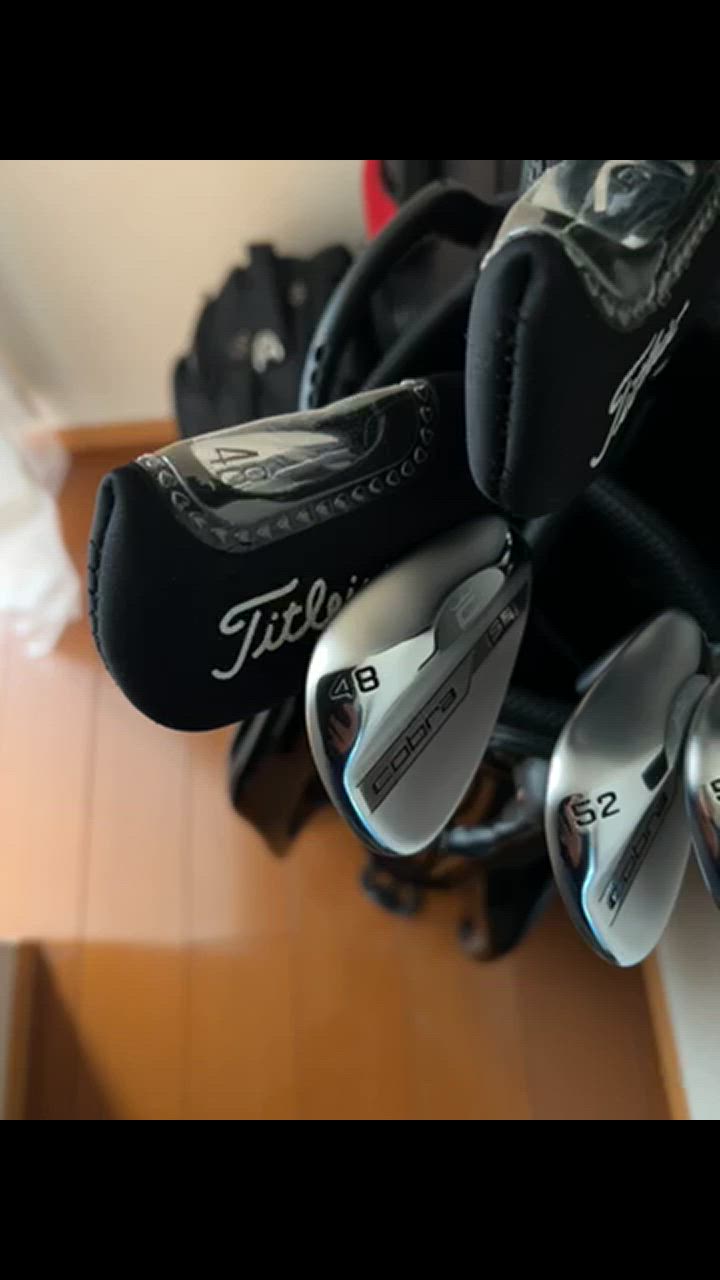 COBRA（コブラ） 2023 スネークバイト クローム DG EX ツアーイシュー