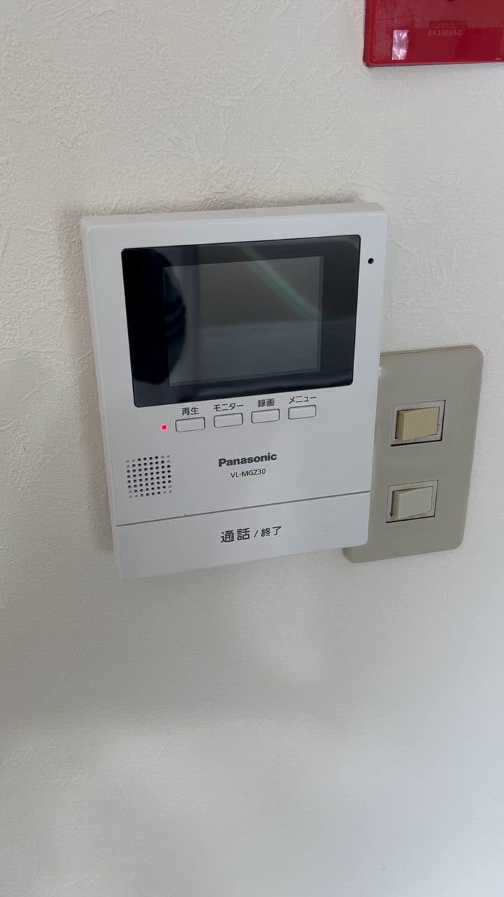 Panasonic（パナソニック） インターホン カメラ付き VL-SE31XL テレビ