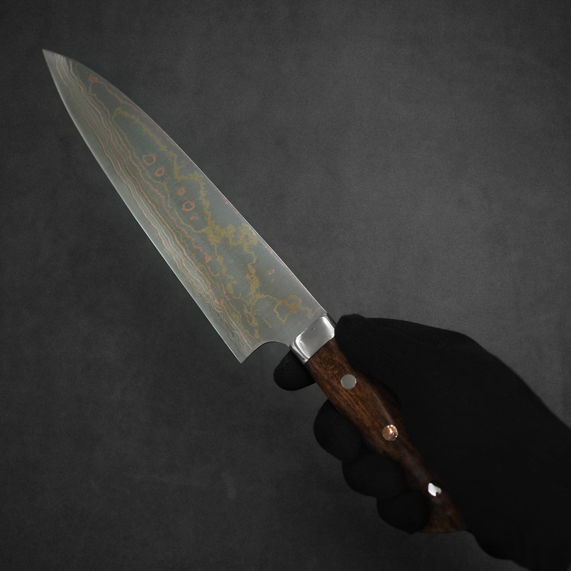 Takeshi Saji rainbow damascus aogami#2 gyuto 210mm – Zahocho
