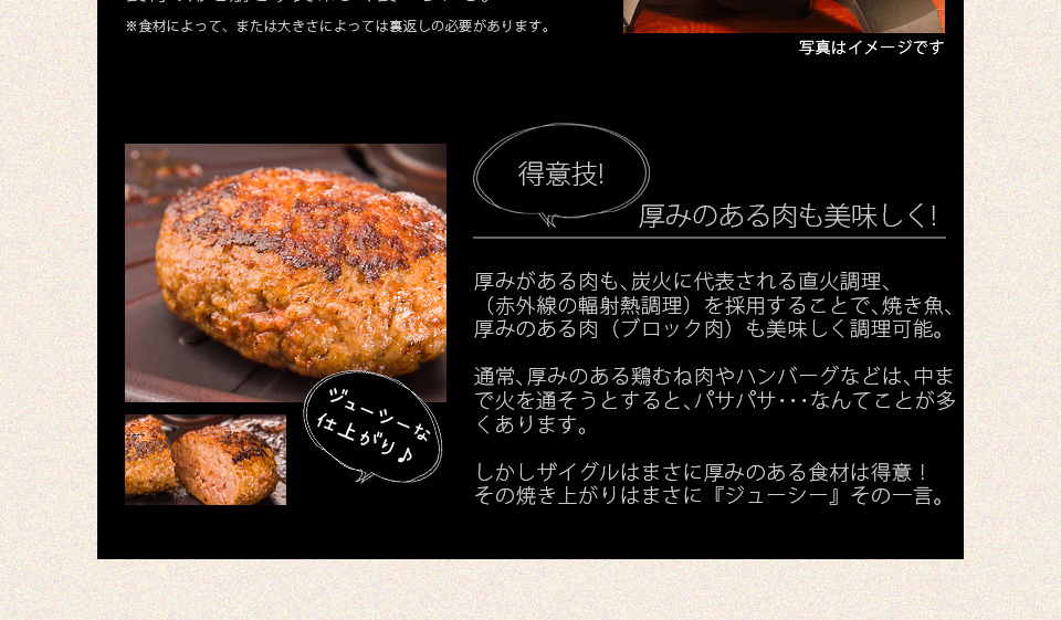 ザイグルハンサム製品詳細 ザイグル公式サイト