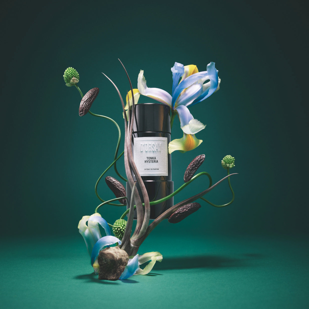 D'Orsay Tonka Hysteria Extrait de Parfum | Mandarin, Iris & Tonka