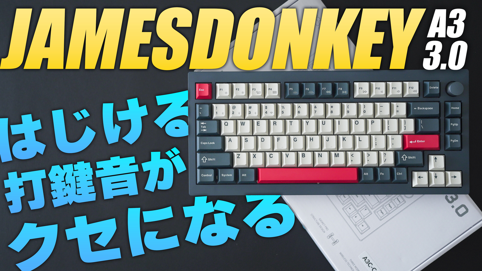 人生初アリス配列】打鍵感・打鍵音最高なWeikav Record Alice V2