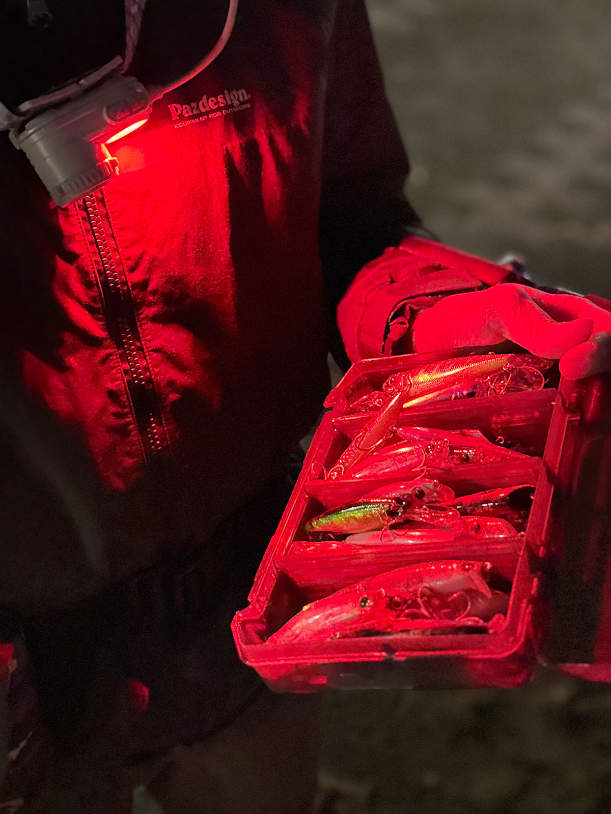 ZX-F730 公式限定ケース付【数量限定】 | ZEXUS公式サイト | ゼクサス