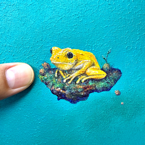 Golden Poison Dart Frog 