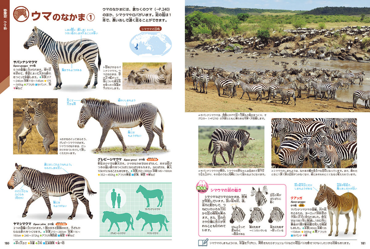動物 新版｜学研の図鑑LIVE｜学研の図鑑（Gakken）