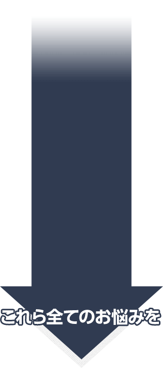 営業マネジャー向けプログラム プロフェッショナル・セールス