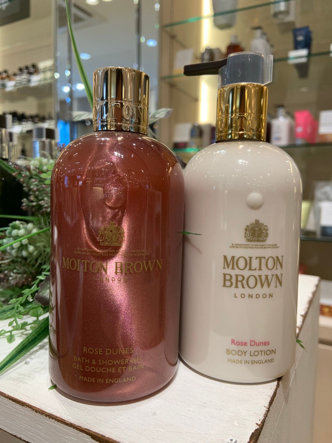 モルトンブラウン】ローズデューン【M | 岡山拠点のトミヤ