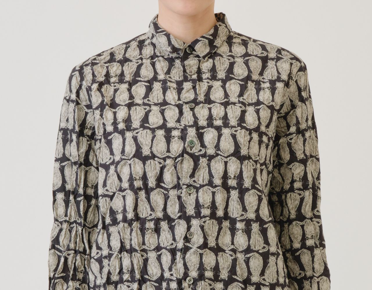 cat! cat! cat! | pas de calais Online | pas de calais | パドカレ