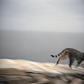 Patrick Taberna - Agence VU'